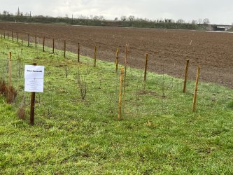 Storchenwald mit Schild